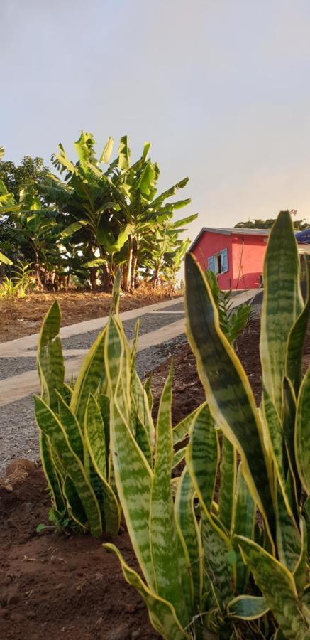 Гостевой дом Au Coeur Des Plantations Ла-Посесьон Экстерьер фото