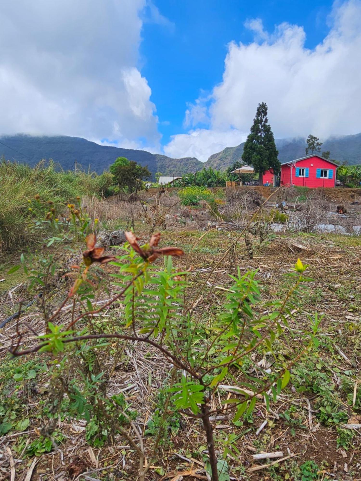 Гостевой дом Au Coeur Des Plantations Ла-Посесьон Экстерьер фото